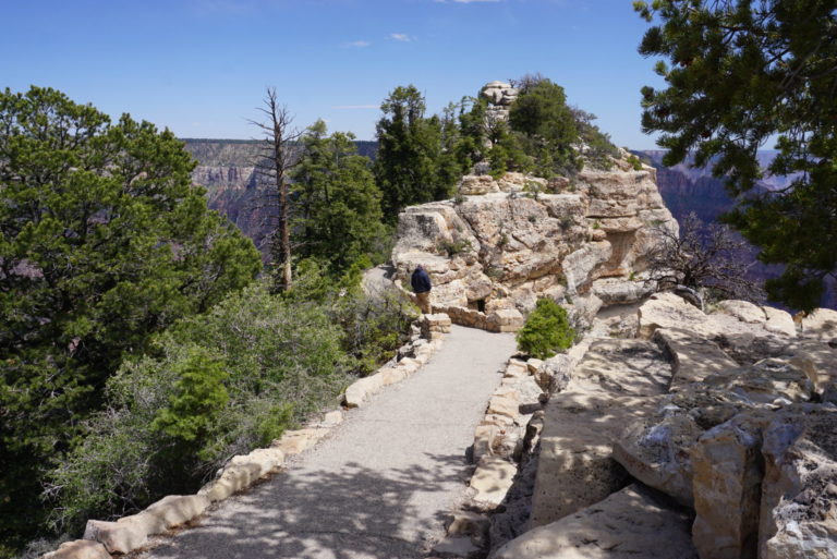 On The Road - frosty - Grand Canyon, North Rim 6