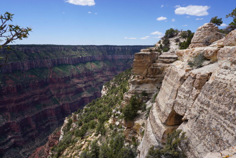 On The Road - frosty - Grand Canyon, North Rim 5