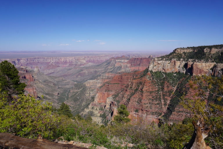 On The Road - frosty - Grand Canyon, North Rim 2