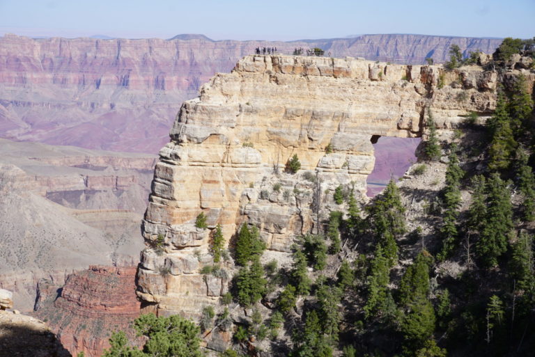 On The Road - frosty - Grand Canyon, North Rim 1