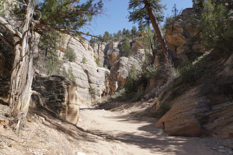 On The Road - frosty - Grand Staircase - Escalante National Monument 7