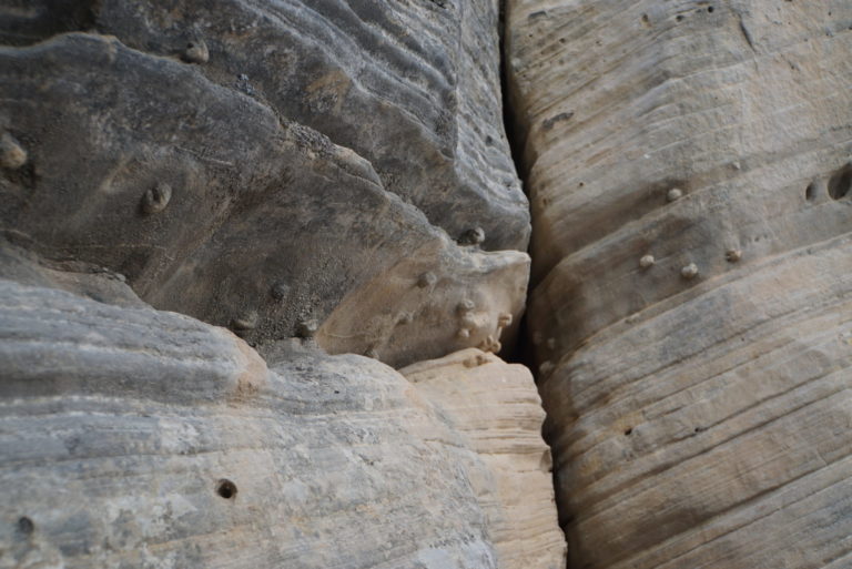 On The Road - frosty - Grand Staircase - Escalante National Monument