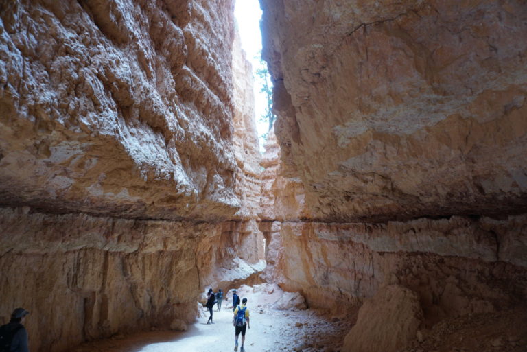 On The Road - frosty - Bryce Canyon National Park 1