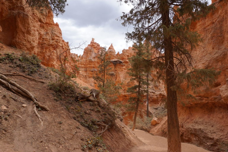 On The Road - frosty - Bryce Canyon National Park