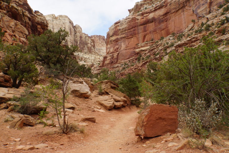 On The Road - frosty - Capitol Reef National Park 2