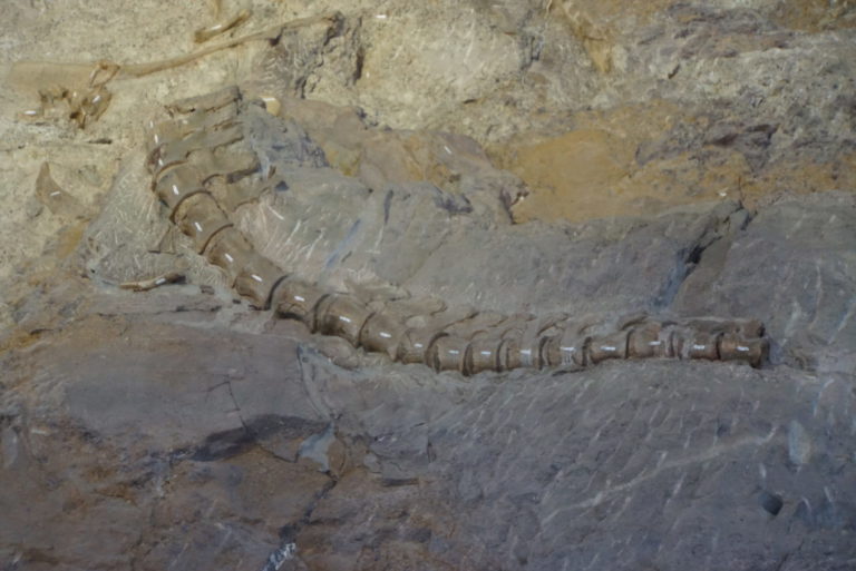 On The Road - frosty - Dinosaur National Monument 6