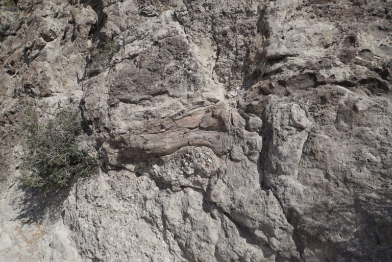 On The Road - frosty - Dinosaur National Monument 2