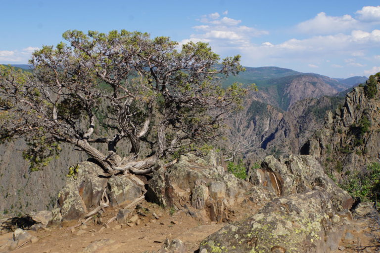 On The Road - frosty - Black Canyon of the Gunnison National Park