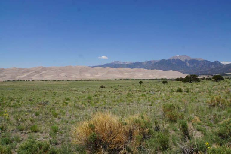 On The Road - frosty - Great Sand Dunes National Park 6