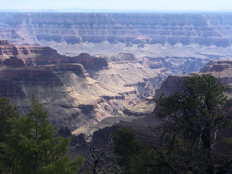 On The Road - frosty - Grand Canyon, North Rim 4