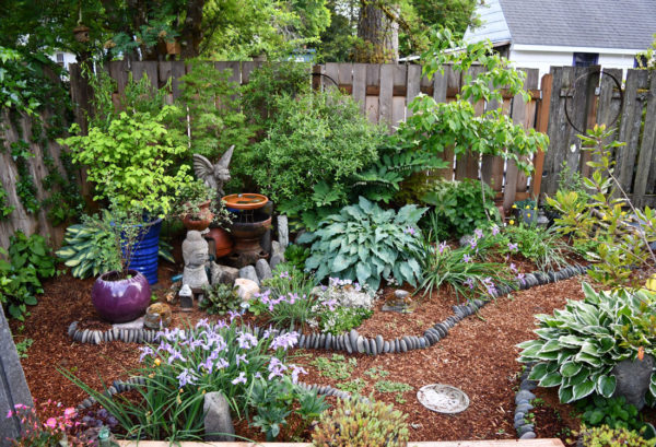 Sunday Morning Garden Chat: A Rainbow of Irises