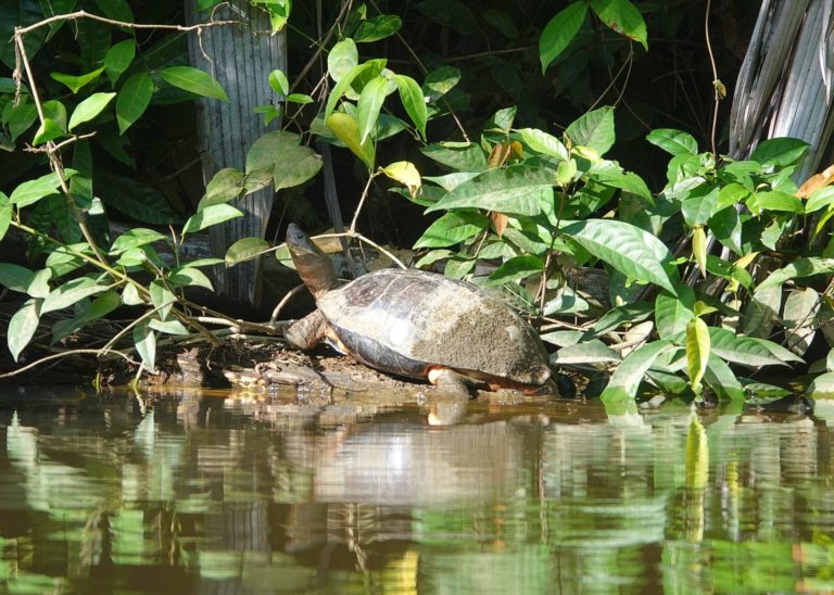 On The Road - lashonharangue - Costa Rica - Part 1 5