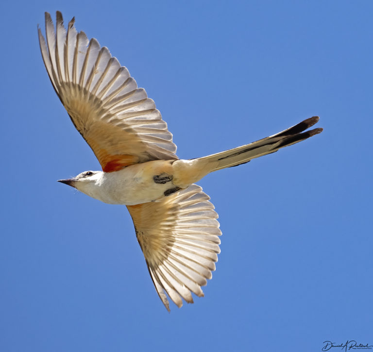 On The Road - Albatrossity - Summer in Flyover Country - week 1 7