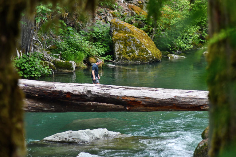 On The Road - Mike in Oly - Staircase, Olympic National Park, WA 1