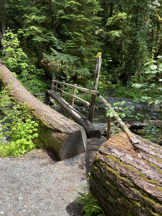 On The Road - Mike in Oly - Staircase, Olympic National Park, WA 7