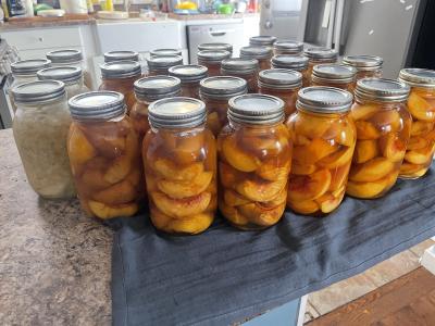 Canning Update