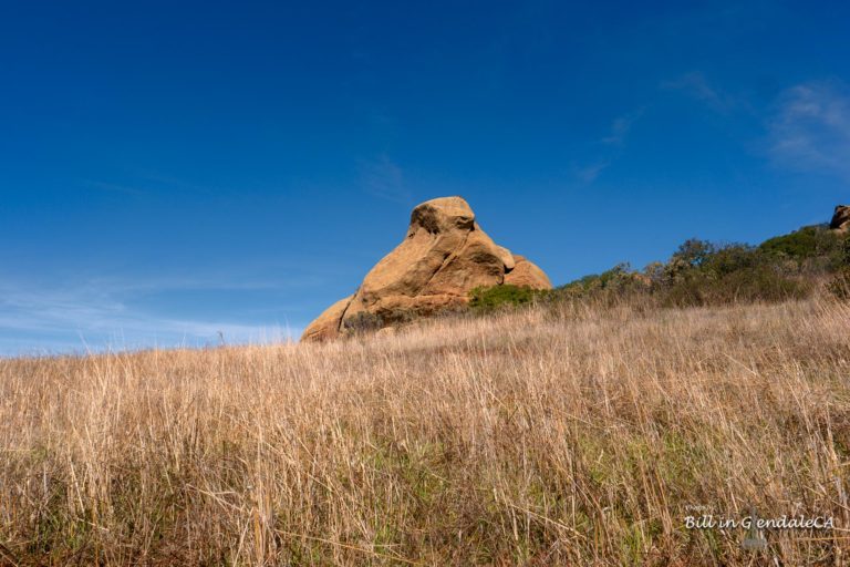 On The Road -  ?BillinGlendaleCA - Sage Ranch Park 5