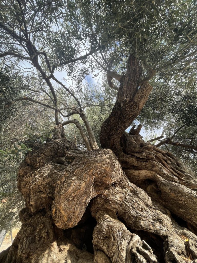 On The Road - Le Comte de Monte Cristo, fka Edmund Dantes - In the COVID time in Crete 6