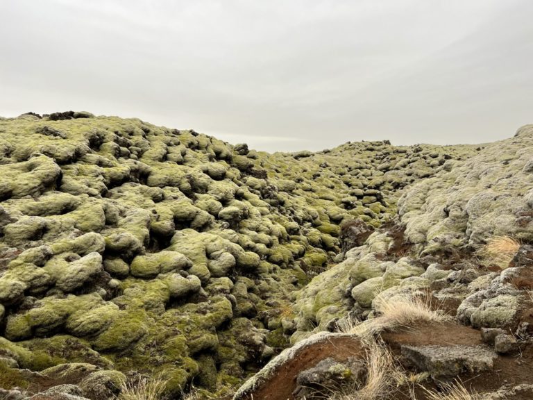 On The Road - MissWimsey - Ring Road in Iceland 2