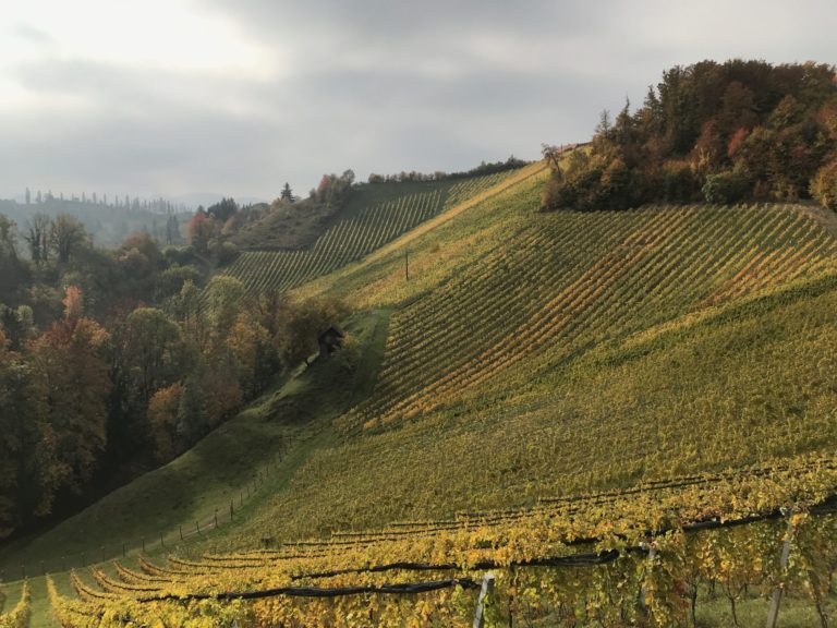 On The Road - way2blue - SÜDSTEIERMARK In October 5