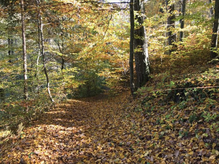 On The Road - way2blue - SÜDSTEIERMARK In October 3