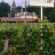 On The Road - Steve from Mendocino - French Vineyards and Wineries 2 of 2 3
