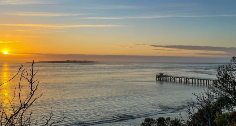 On The Road - currawong - Point Lonsdale Victoria at dawn 4