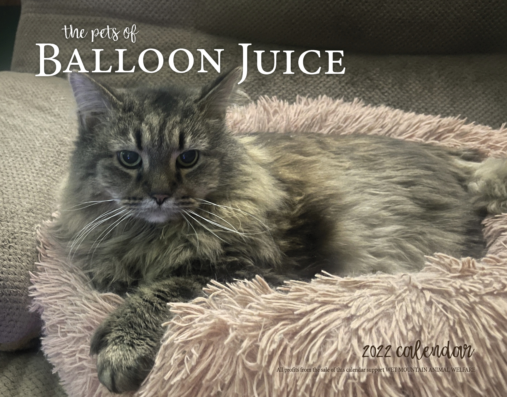 Final Preview of 2022 Pets of Balloon Juice: Calendar B! 1