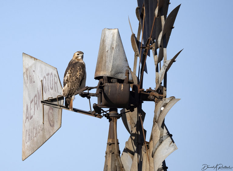 On The Road - Albatrossity - Wintry Mix in Flyover Country - week 3