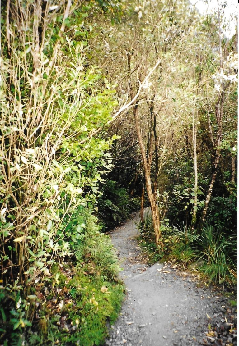 On The Road - Paul in St. Augustine - New Zealand South Island, Franz Josef Glacier 7