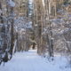 On The Road - Munira - Snow and Ice 2