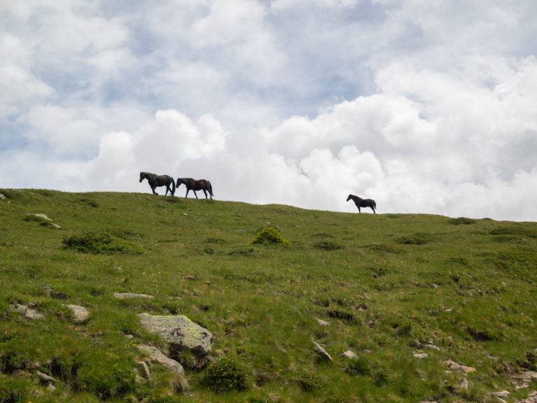 On The Road - BigJimSlade - Hiking in the Italian Dolomites - 2021 4