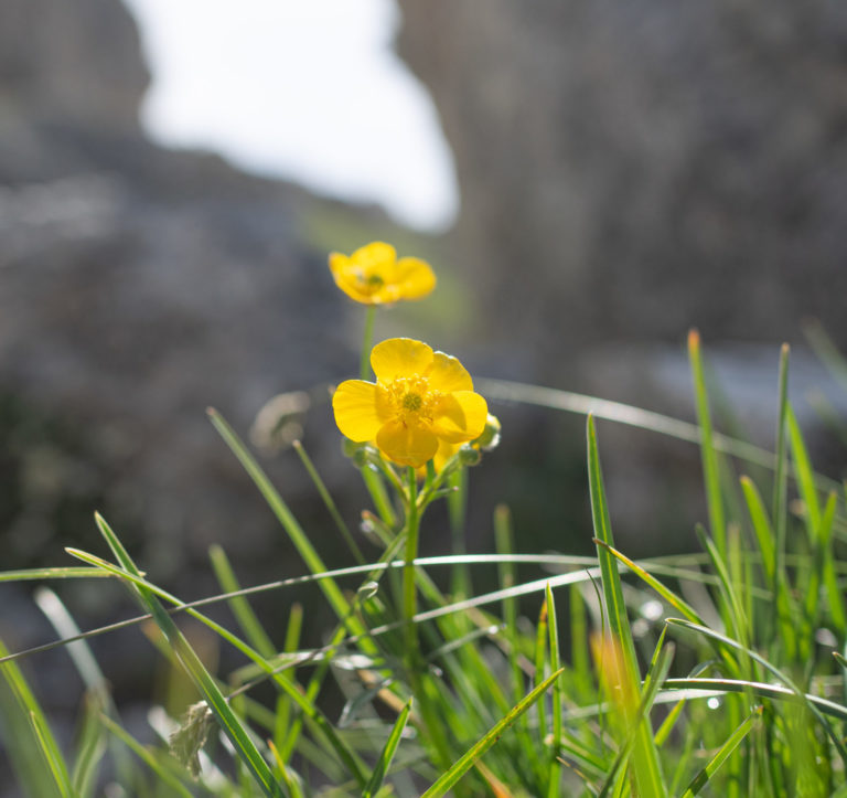 On The Road - BigJimSlade - Hiking in the Italian Dolomites - 2021 - Day 2, part 1 1