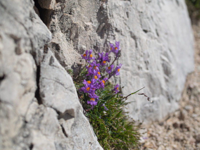 On The Road - BigJimSlade - Hiking in the Italian Dolomites - 2021 - Day 2, part 1