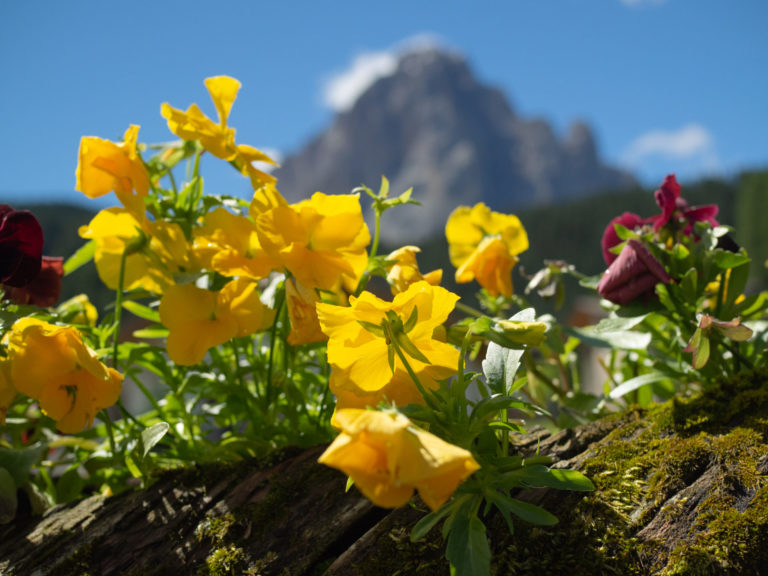 On The Road - BigJimSlade - Hiking in the Italian Dolomites - 2021 - Days 5-6