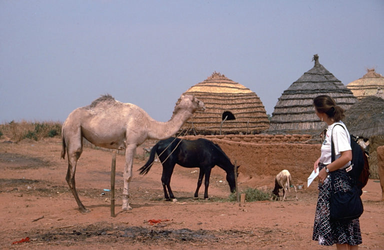 On The Road - BretH - Peace Corps, Niger, West Africa - 1989 7