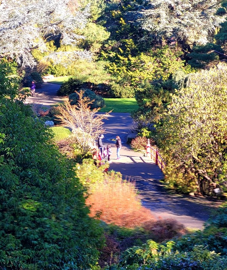 On The Road - Dan B - Kubota Garden, Seattle 6