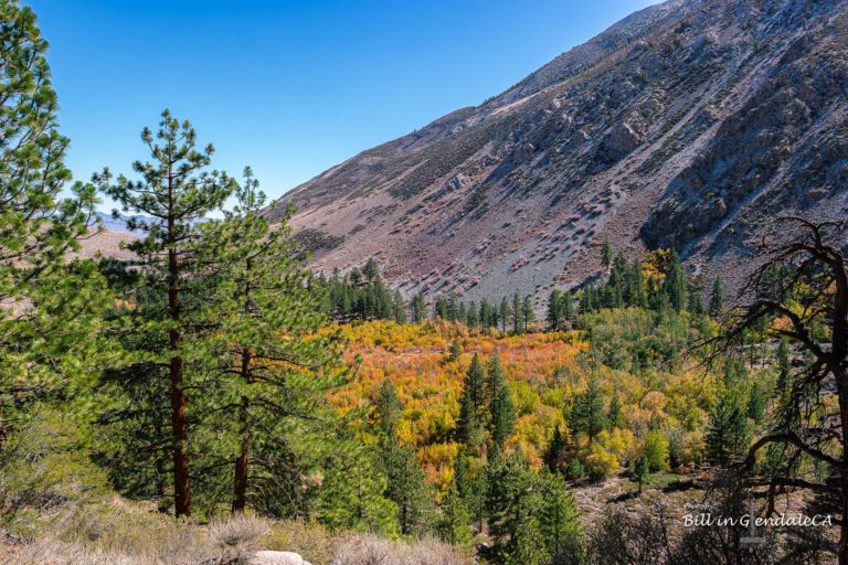 On The Road - ?BillinGlendaleCA - Big Pine Fall Color 2