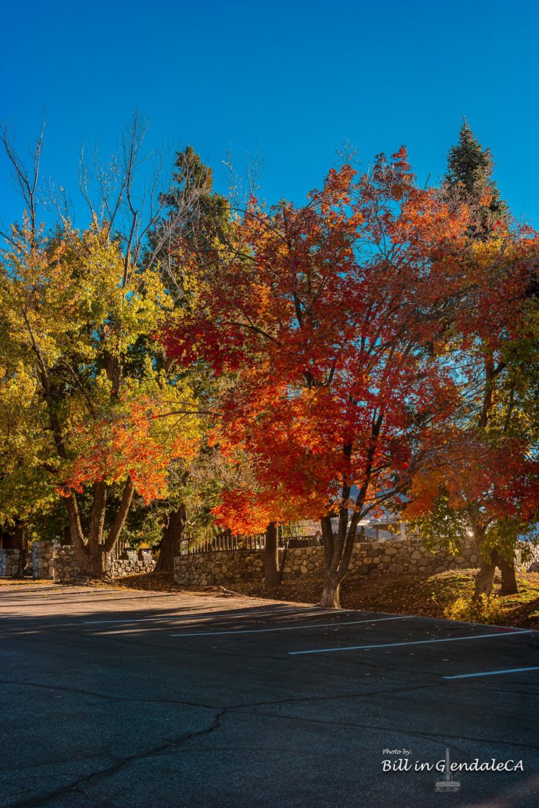 On The Road - ?BillinGlendaleCA - Oak Glen - Southern California Fall Color 7