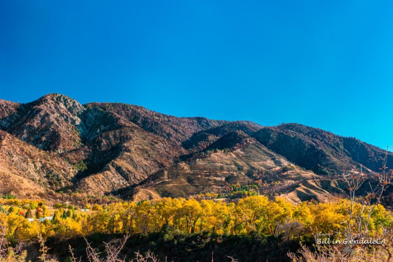 On The Road - ?BillinGlendaleCA - Oak Glen - Southern California Fall Color 4