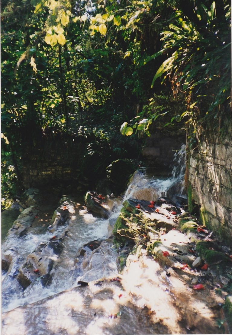 On The Road - OzarkHillbilly - Las Pozas 1