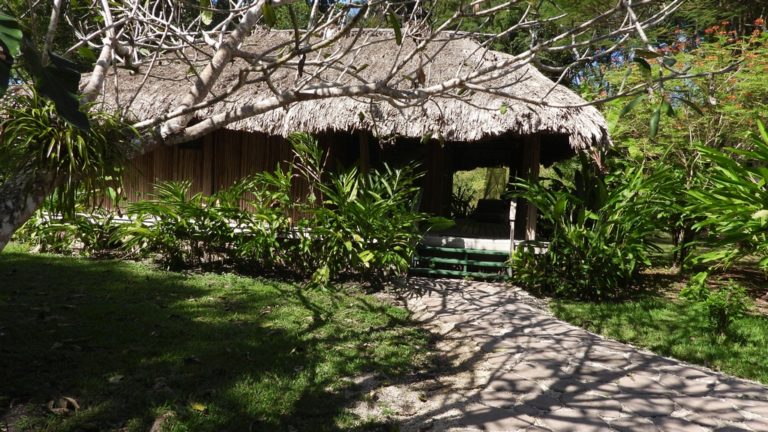 On The Road - Mike S - Belize, December 2021 part two,  Entering the Maya Selva at ChanChich Lodge 6