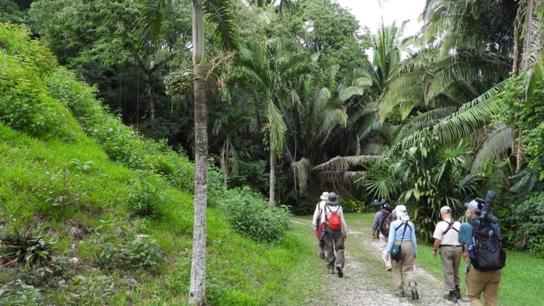 On The Road - Mike S - Belize, December 2021 part two,  Entering the Maya Selva at ChanChich Lodge 5