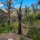 On The Road - ?BillinGlendaleCA - Sandstone Peak 3