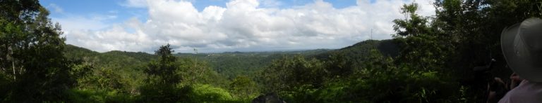 On The Road - Mike S - Belize, December 2021 part one. Birds of Pook's Hill lodge 1