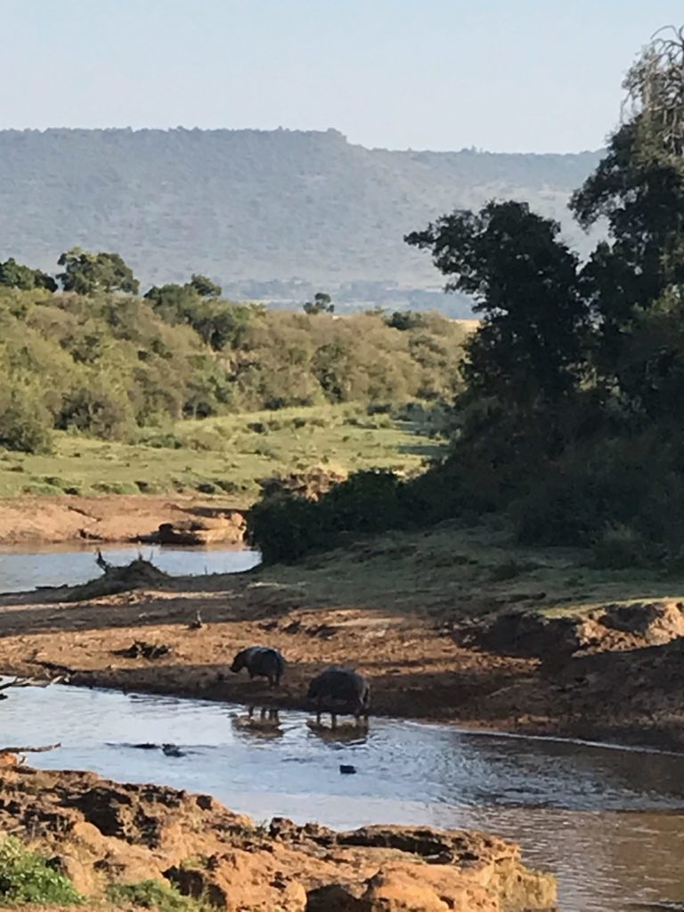 On The Road – way2blue – Massi Mara, Kenya in July 6 of 6 7