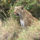 On The Road - way2blue - Massi Mara, Kenya in July 2 of 6 5
