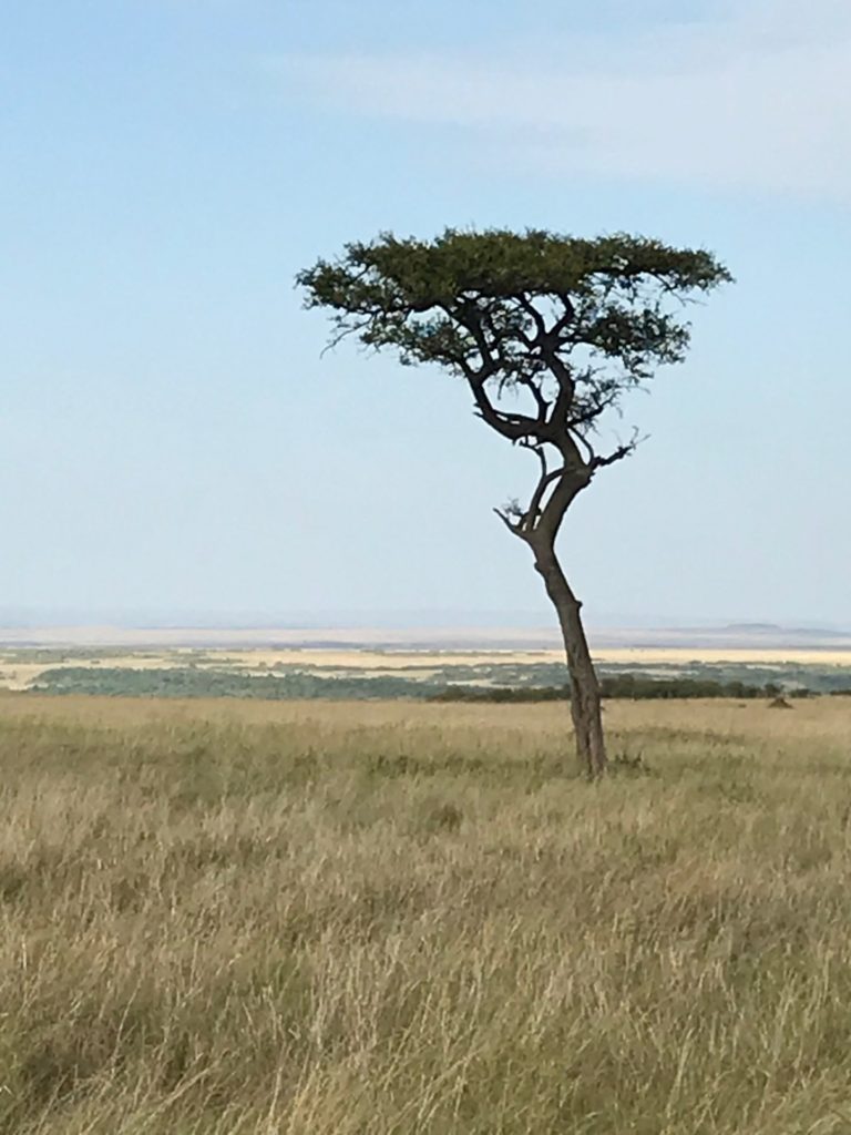 On The Road - way2blue - Massi Mara, Kenya in July 3 of 6