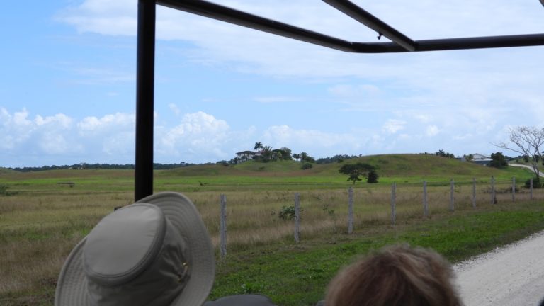 On The Road - Mike S (Now with a Democratic Congressperson!) - Belize, December 2021 part Three,  Raptors around Gallon Jug Farm 6