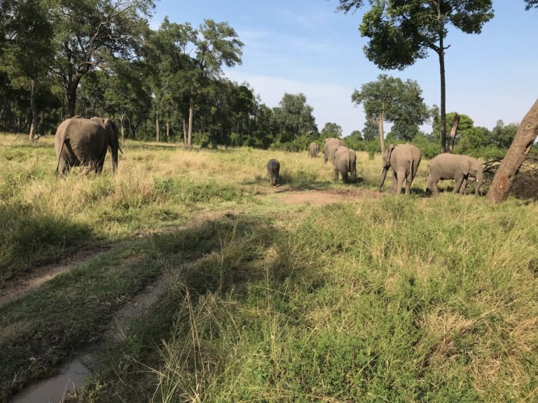 On The Road – way2blue – Massi Mara, Kenya in July 6 of 6 5